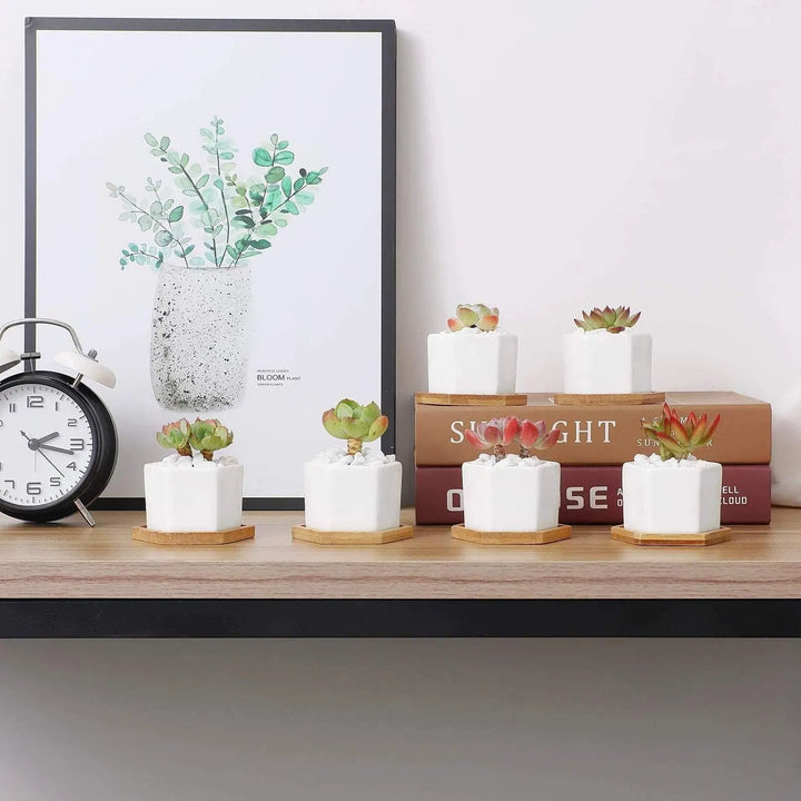 Hexagon Ceramic Planter with Bamboo Tray - Stem & Sill