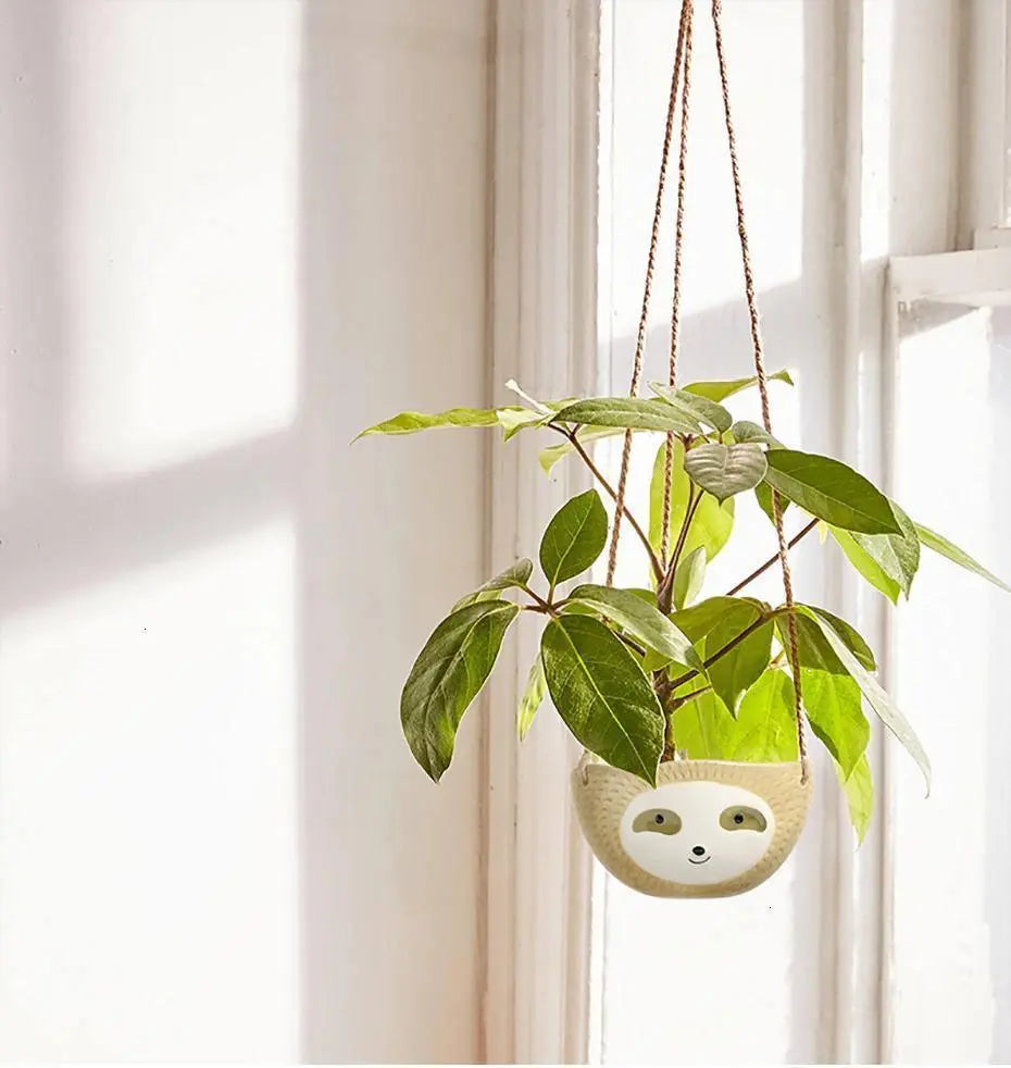 Lazy Ceramic Hanging Succulent Planter - Stem & Sill