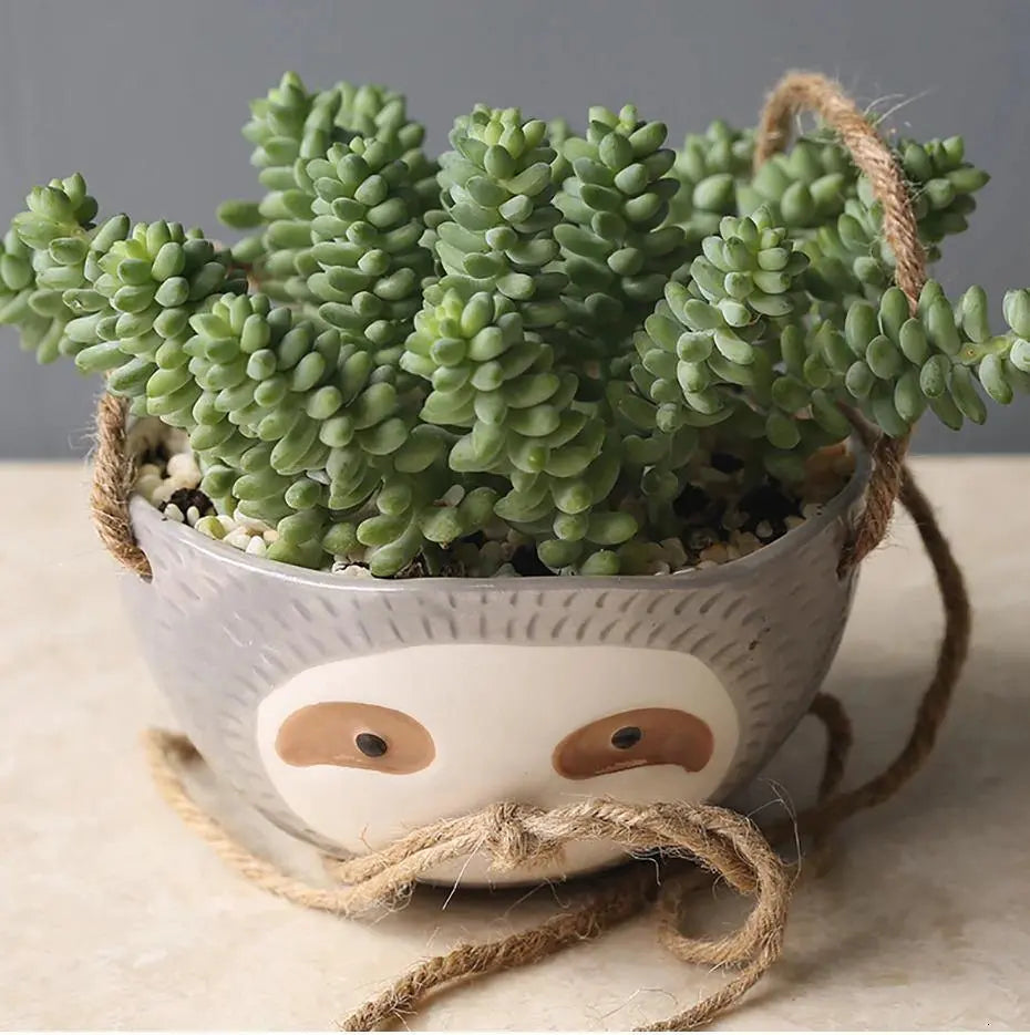 Lazy Ceramic Hanging Succulent Planter - Stem & Sill