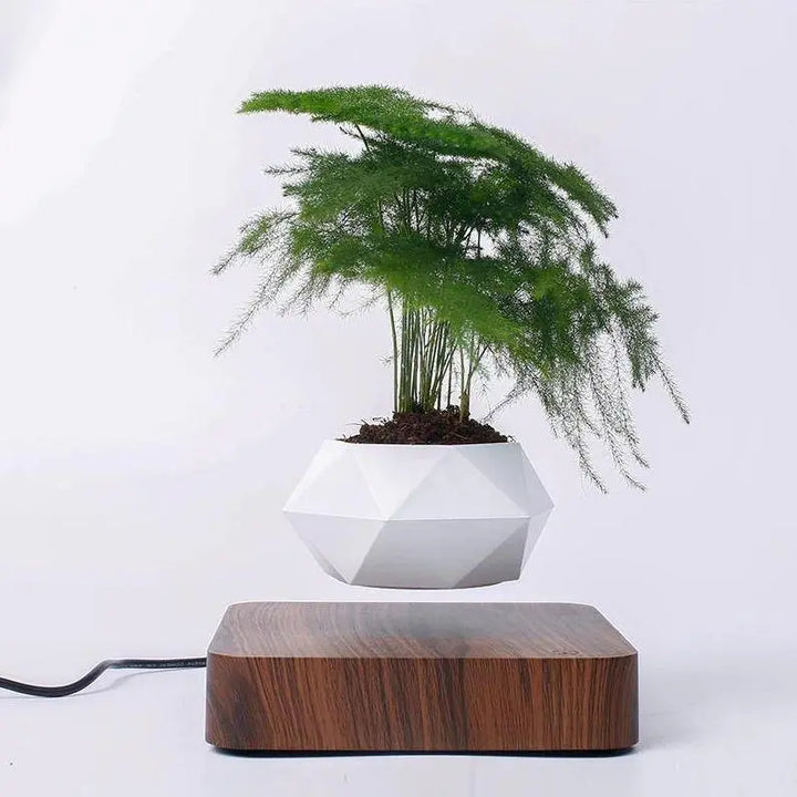 Magnetic Levitating Plant Pot Sienna - Stem & Sill