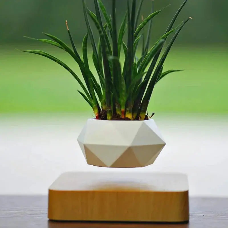 Magnetic Levitating Plant Pot - Stem & Sill