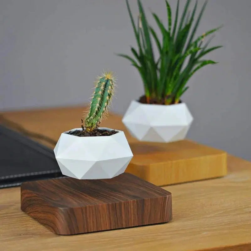 Magnetic Levitating Plant Pot - Stem & Sill