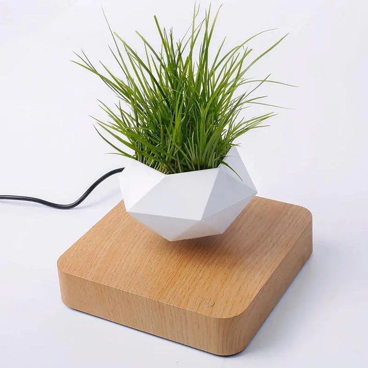 Magnetic Levitating Plant Pot - Stem & Sill