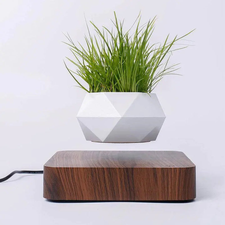 Magnetic Levitating Plant Pot - Stem & Sill