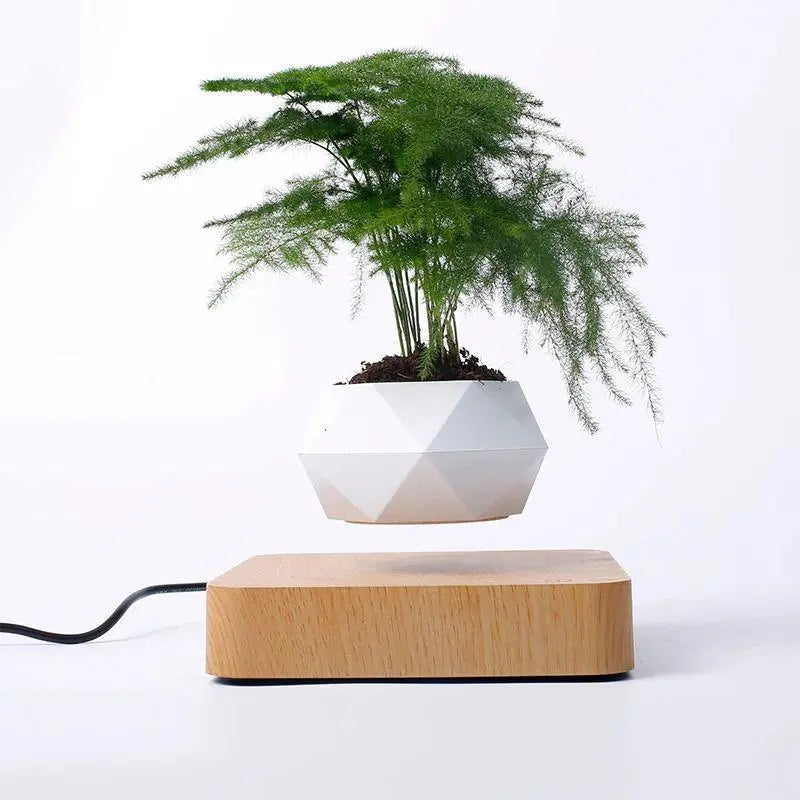 Magnetic Levitating Plant Pot Tan - Stem & Sill