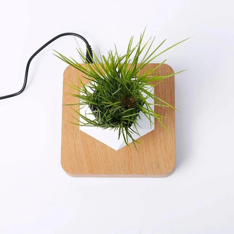 Magnetic Levitating Plant Pot - Stem & Sill