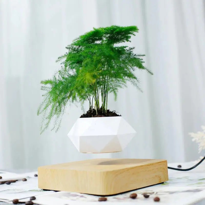 Magnetic Levitating Plant Pot - Stem & Sill