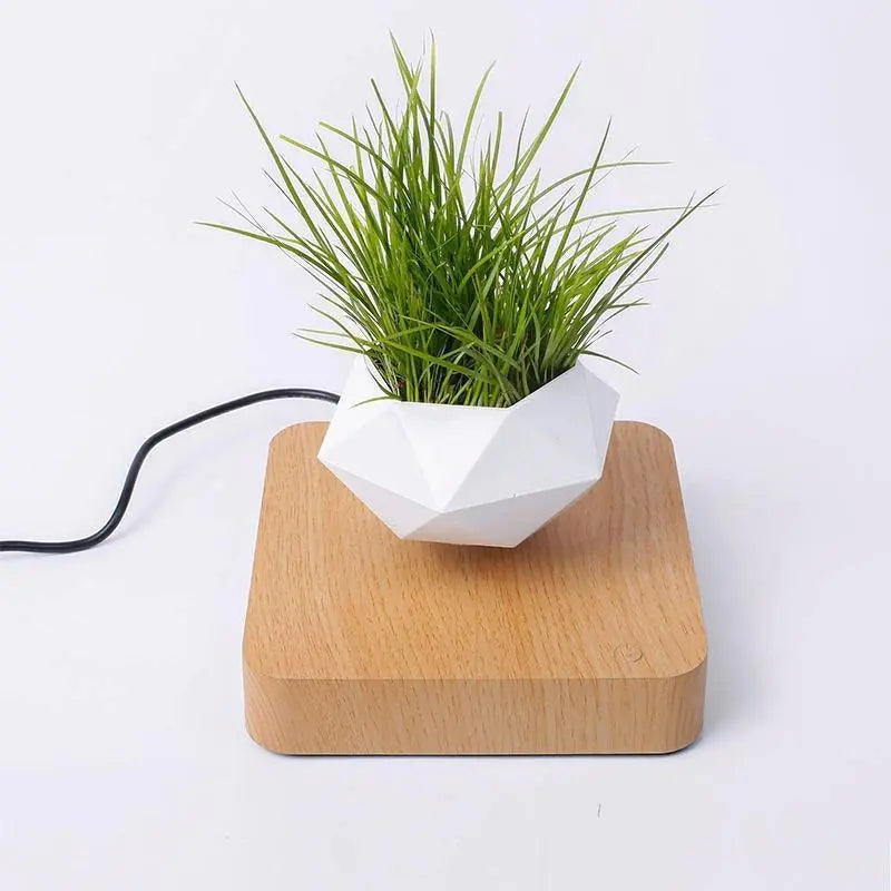 Magnetic Levitating Plant Pot - Stem & Sill