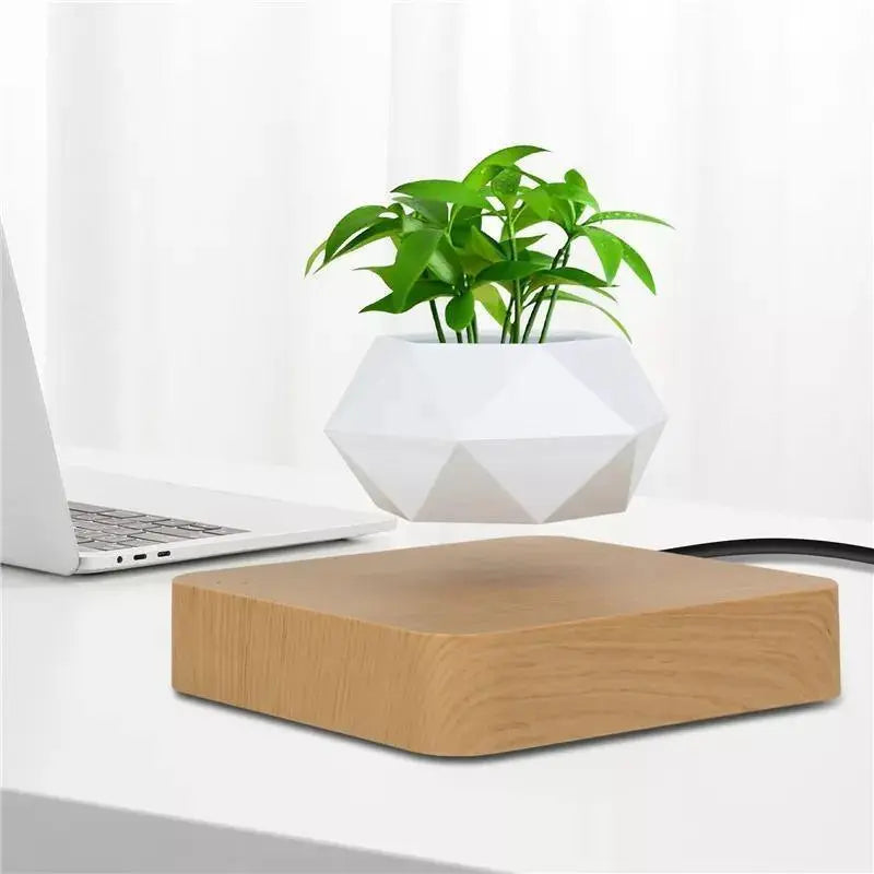 Magnetic Levitating Plant Pot - Stem & Sill