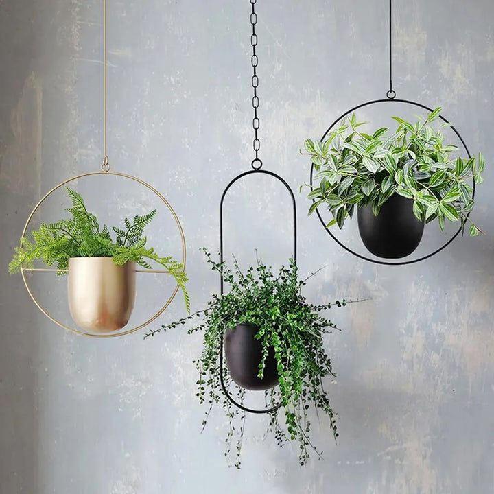 Metal Hanging Planter - Stem & Sill