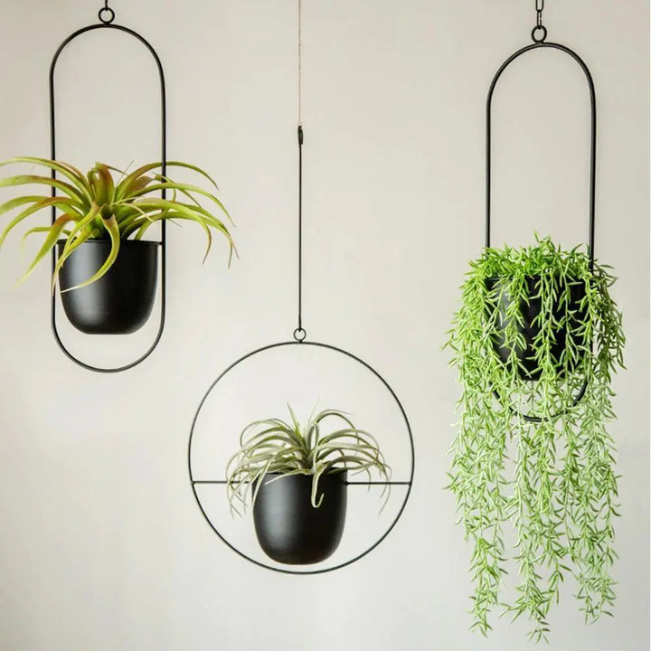 Metal Hanging Planter - Stem & Sill