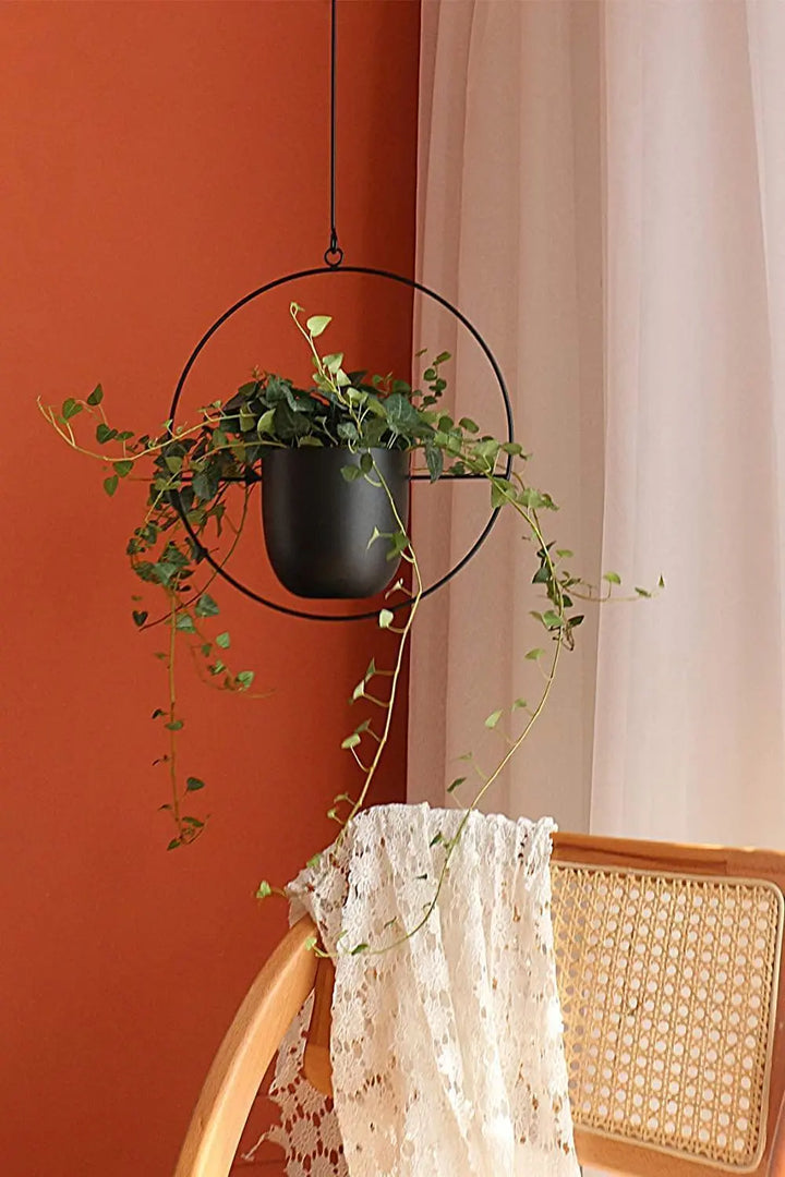 Metal Hanging Planter - Stem & Sill