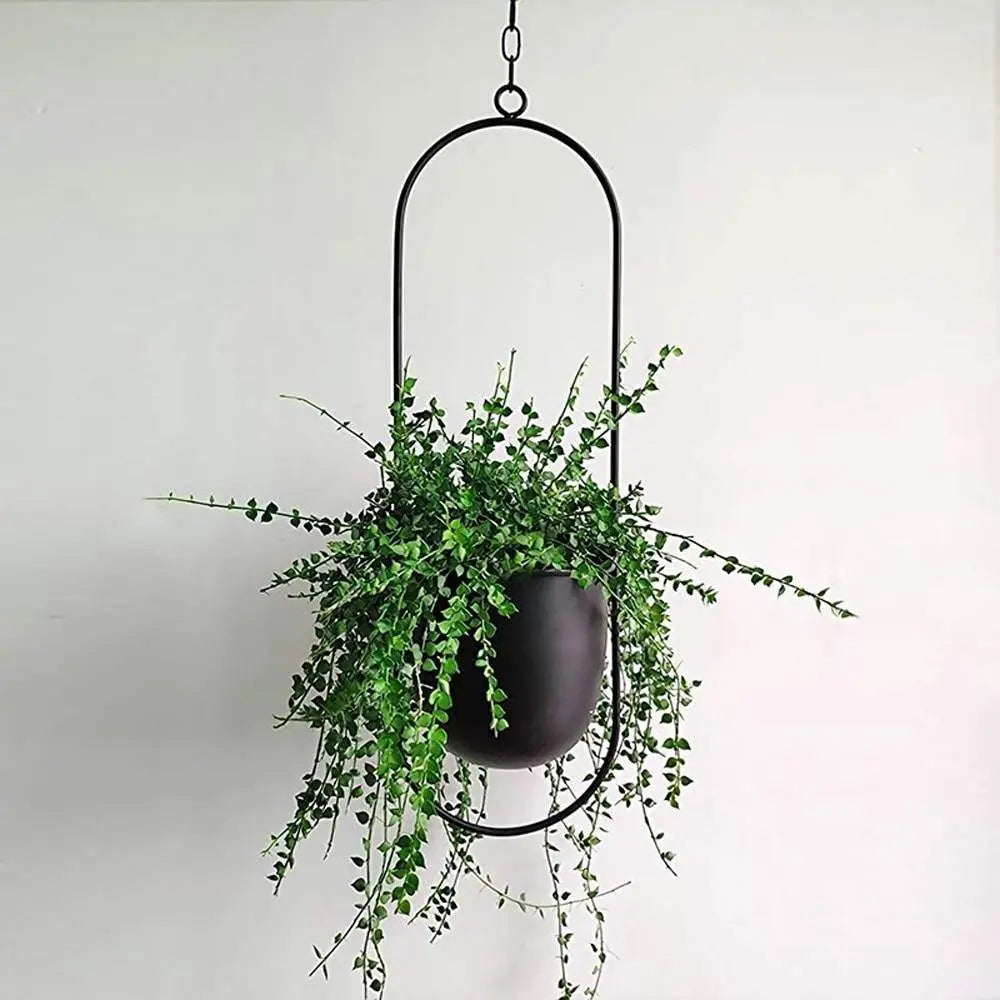 Metal Hanging Planter - Stem & Sill