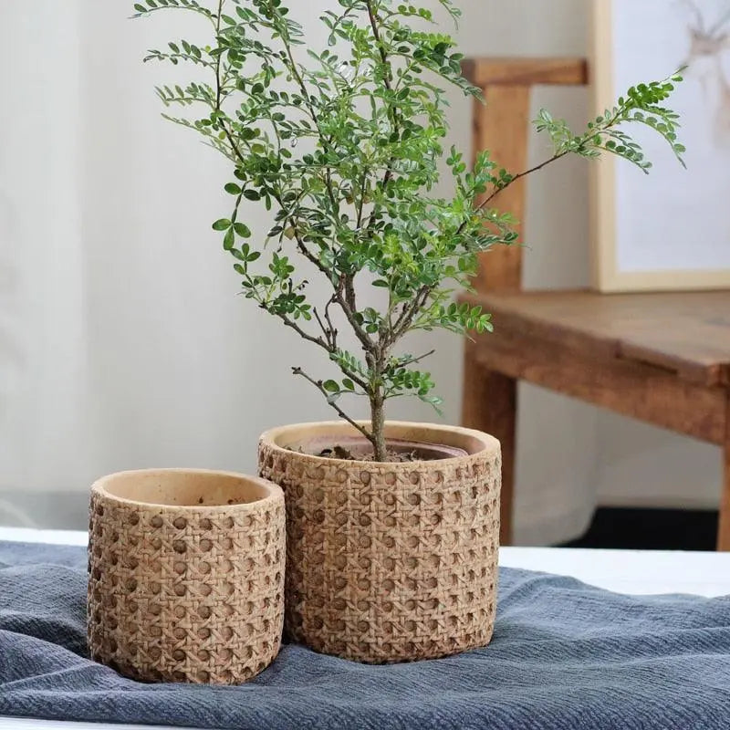 Natural Rattan Texture Cement Plant Pot - Stem & Sill