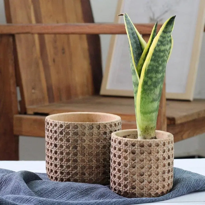 Natural Rattan Texture Cement Plant Pot - Stem & Sill