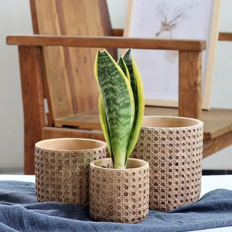 Natural Rattan Texture Cement Plant Pot - Stem & Sill