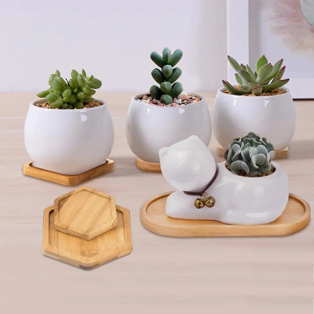 Organic Bamboo Planter Saucer Trays - Stem & Sill