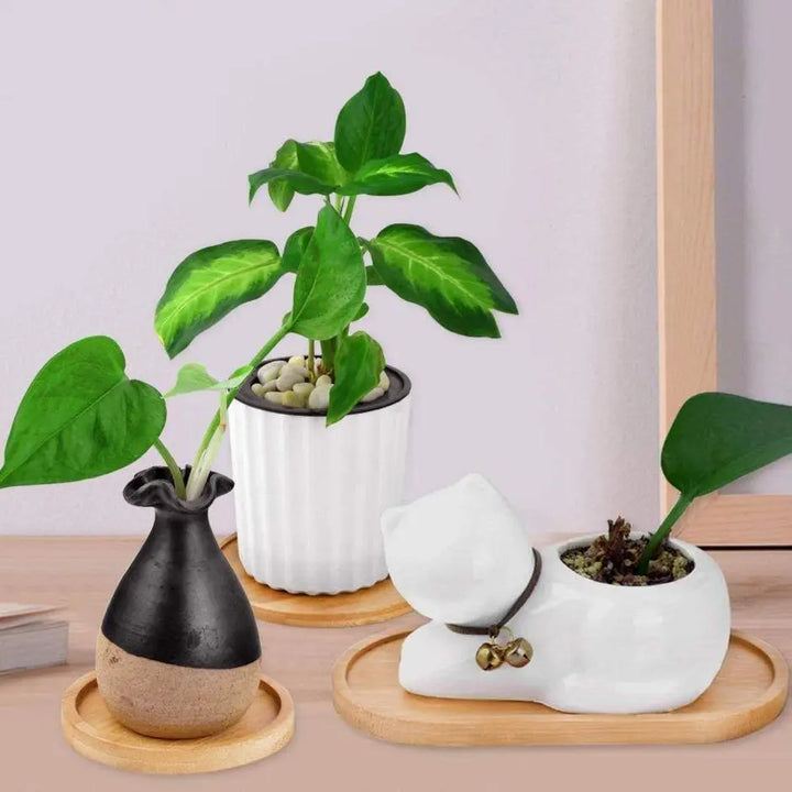 Organic Bamboo Planter Saucer Trays - Stem & Sill