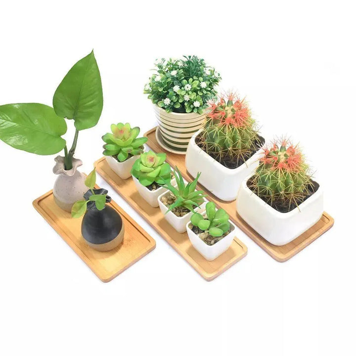 Organic Bamboo Planter Saucer Trays - Stem & Sill