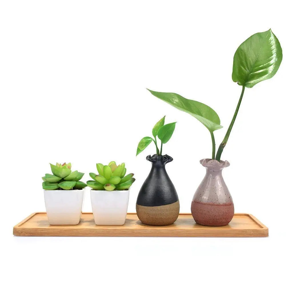 Organic Bamboo Planter Saucer Trays - Stem & Sill