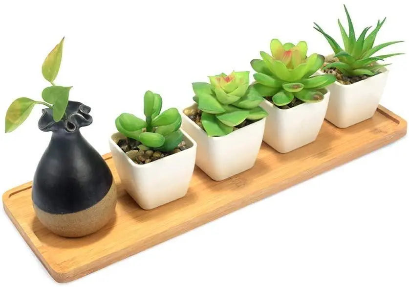 Organic Bamboo Planter Saucer Trays - Stem & Sill