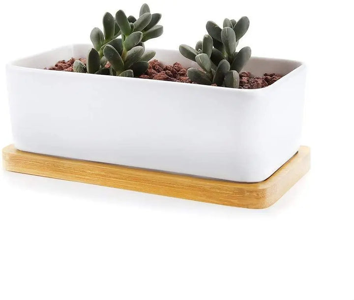 Organic Bamboo Planter Saucer Trays - Stem & Sill