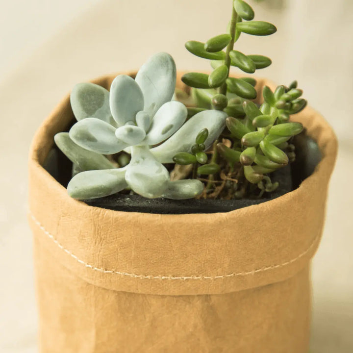 Rustic Fabric Planter Basket - Stem & Sill