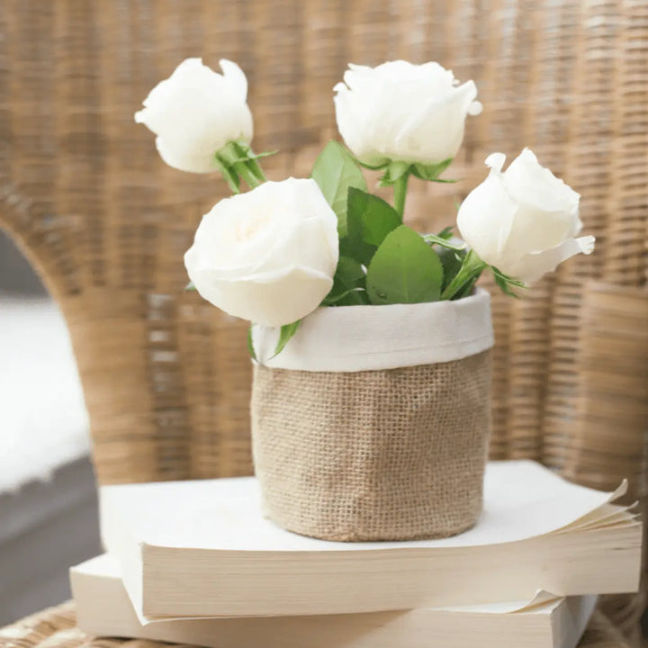 Rustic Fabric Planter Basket - Stem & Sill