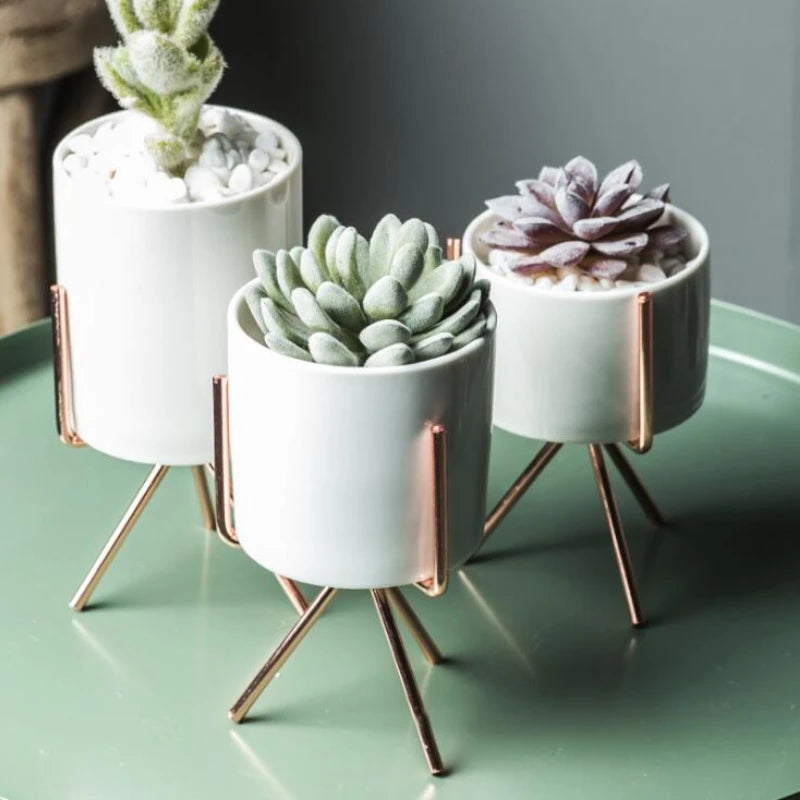  Succulent Planter Ceramic Pots with Geometric Metal Stand Black / Short / With Hole-Black / Short / Without Hole-Black / Medium / With Hole-Black / Medium / Without Hole-Black / Tall / With Hole-Black / Tall / Without Hole-Silver / Short / With Hole-Silver / Short / Without Hole-Silver / Medium / With Hole-Silver / Medium / Without Hole - Stem & Sill