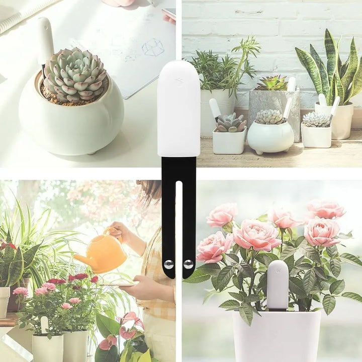 Smart Plant Water Meter and Health Sensor - Stem & Sill