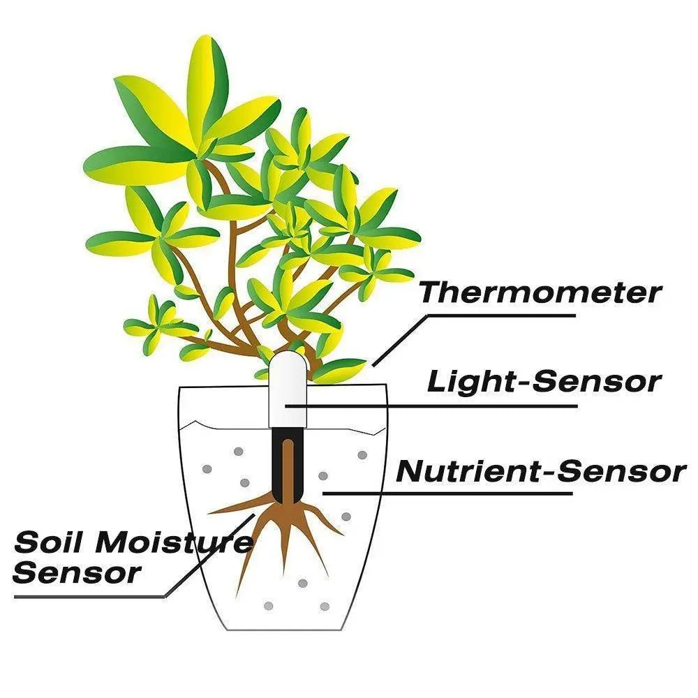 Smart Plant Water Meter and Health Sensor - Stem & Sill