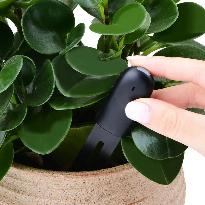 Smart Plant Water Meter and Health Sensor - Stem & Sill