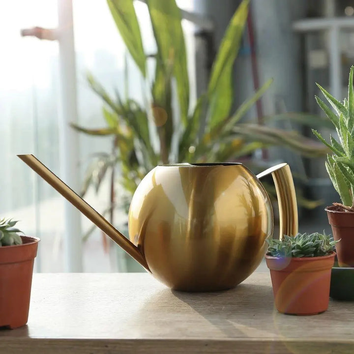 Stainless Steel Watering Can - Stem & Sill