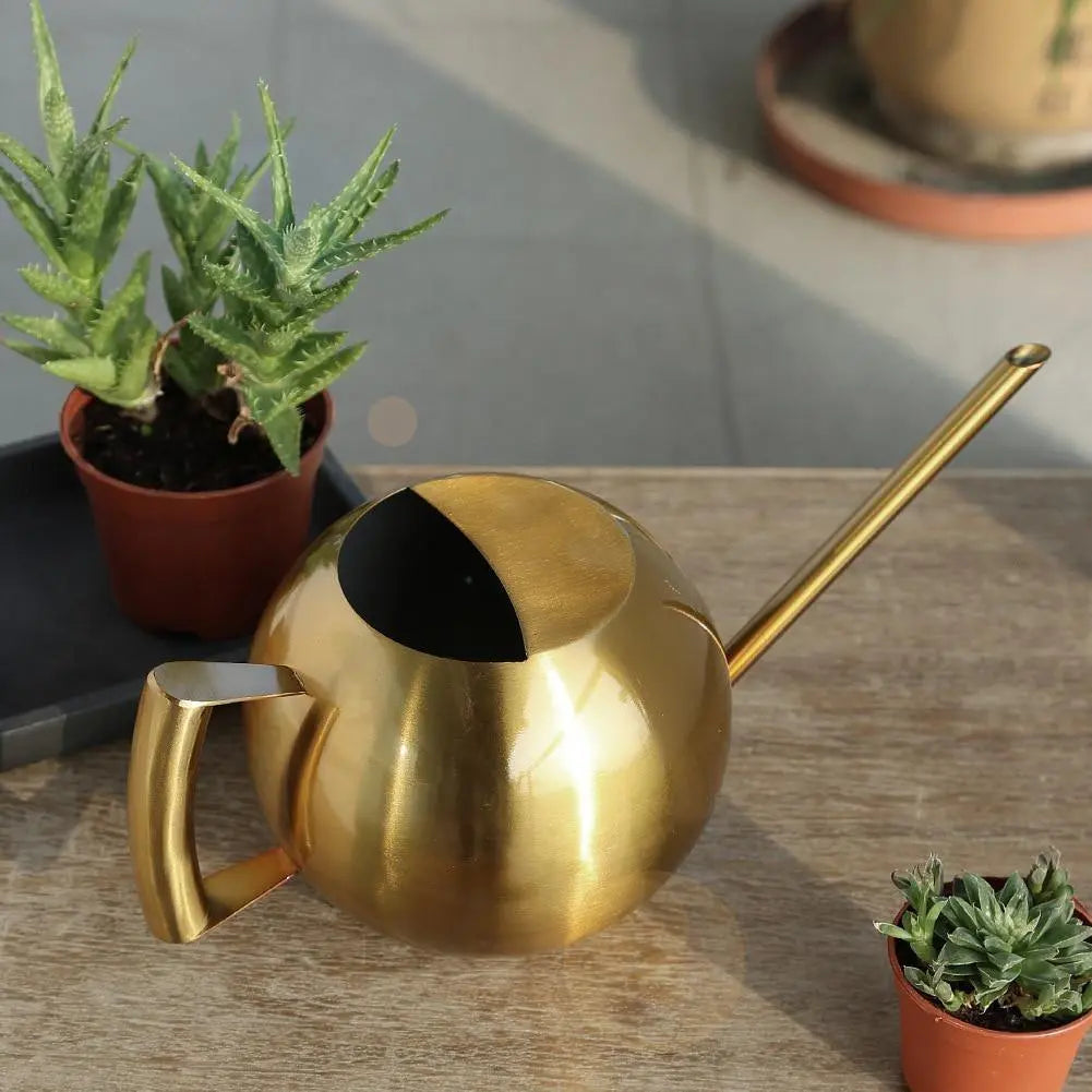 Stainless Steel Watering Can - Stem & Sill