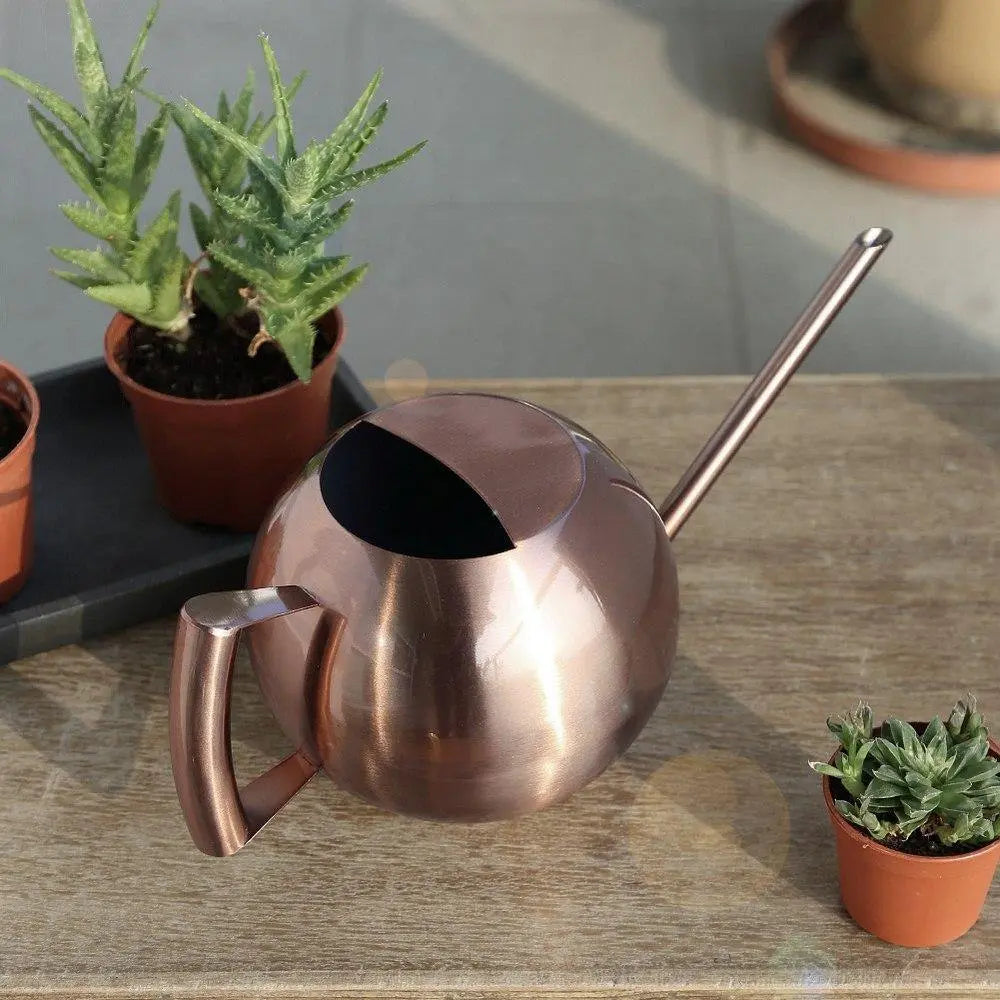 Stainless Steel Watering Can - Stem & Sill