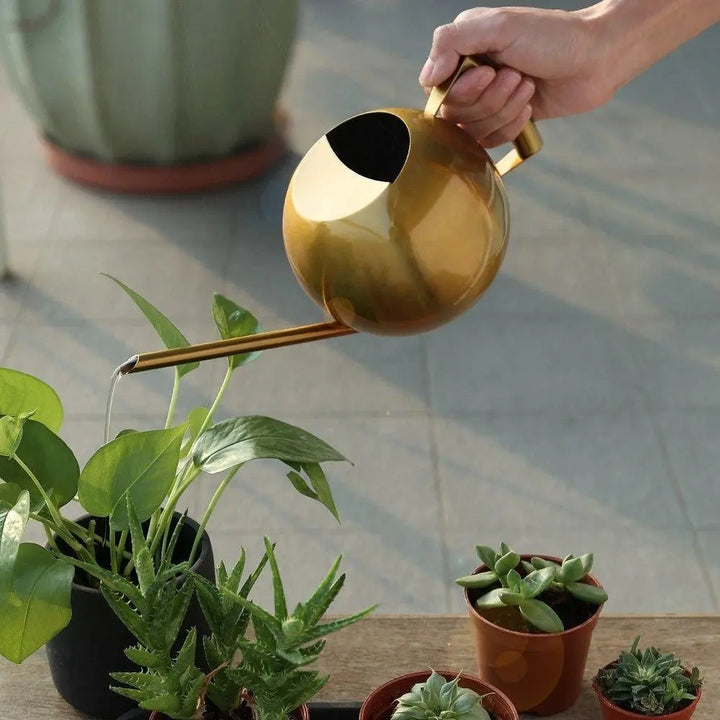 Stainless Steel Watering Can - Stem & Sill