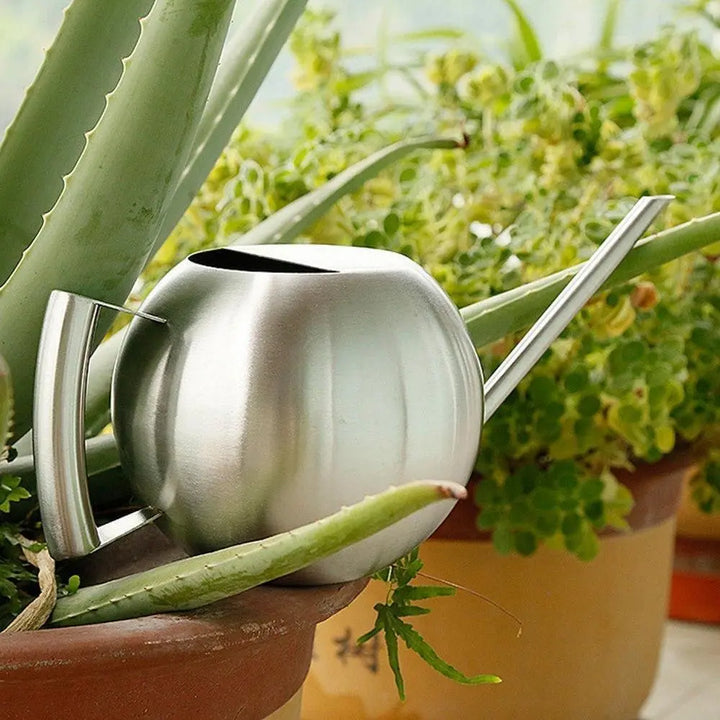 Stainless Steel Watering Can - Stem & Sill