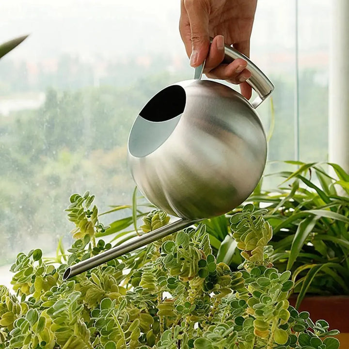 Stainless Steel Watering Can - Stem & Sill