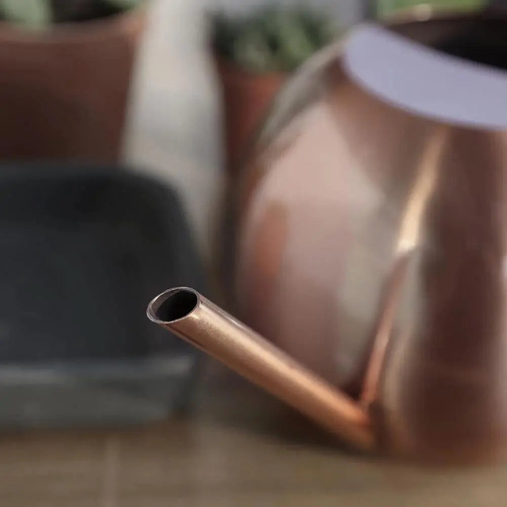 Stainless Steel Watering Can - Stem & Sill