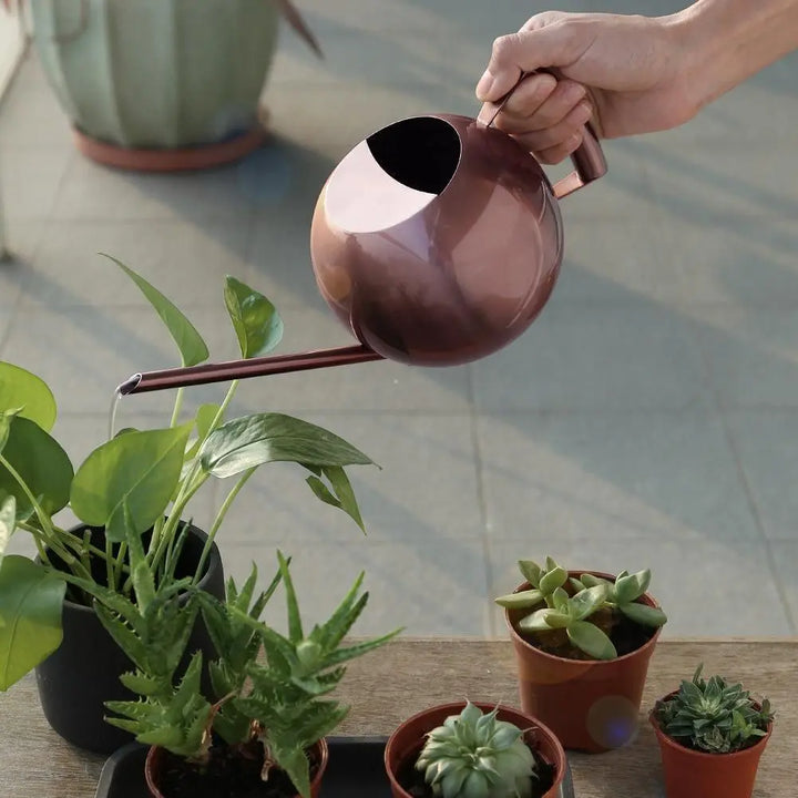 Stainless Steel Watering Can - Stem & Sill