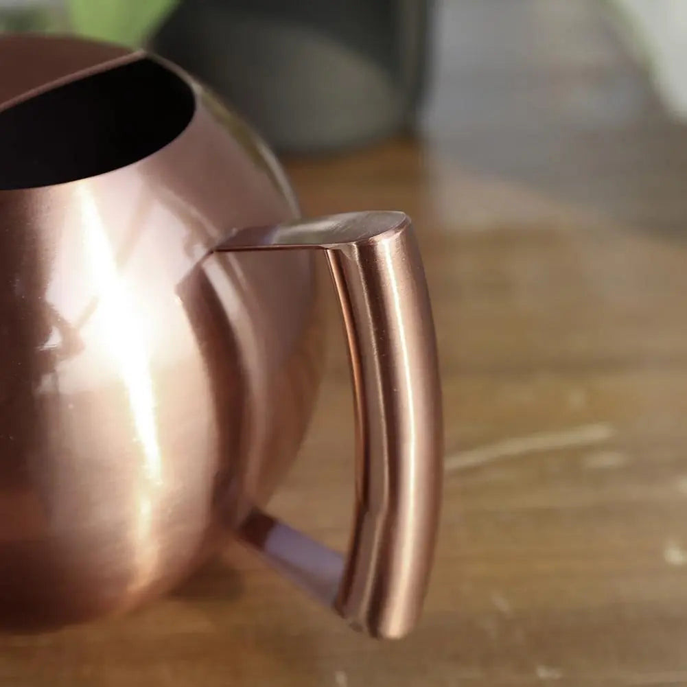 Stainless Steel Watering Can - Stem & Sill