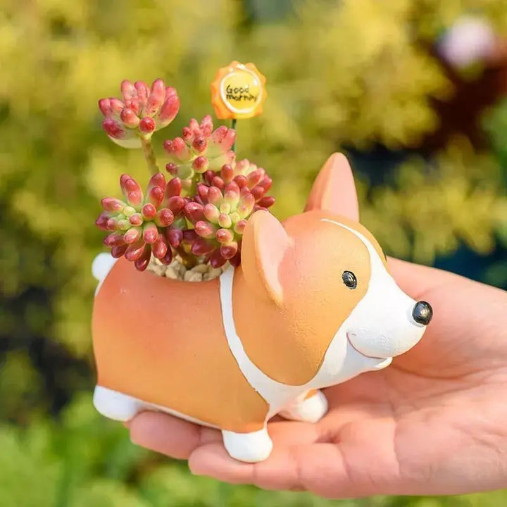 Corgi Succulent Planter - Stem & Sill