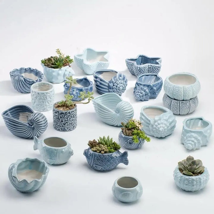 Under the Sea Succulent Planters - Stem & Sill