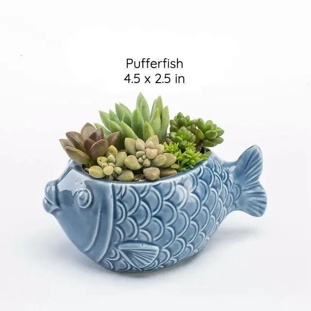 Under the Sea Succulent Planters Pufferfish - Stem & Sill