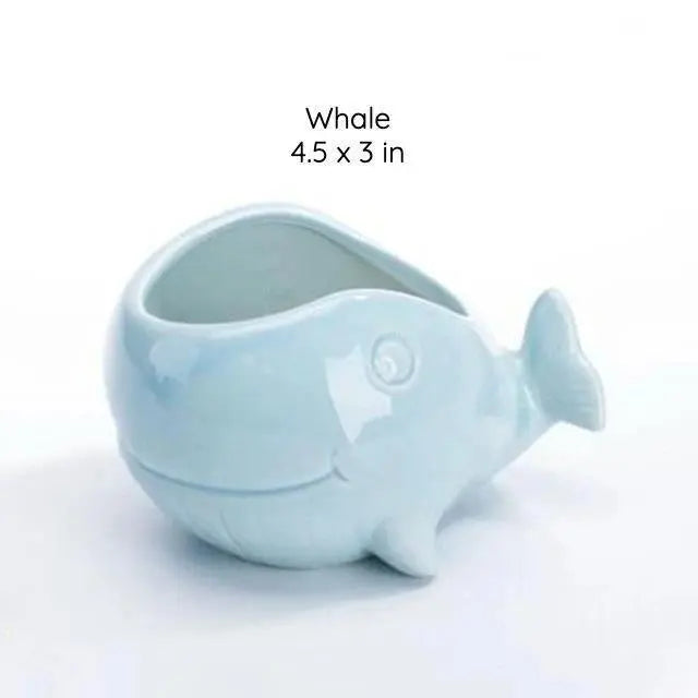 Under the Sea Succulent Planters Whale - Stem & Sill