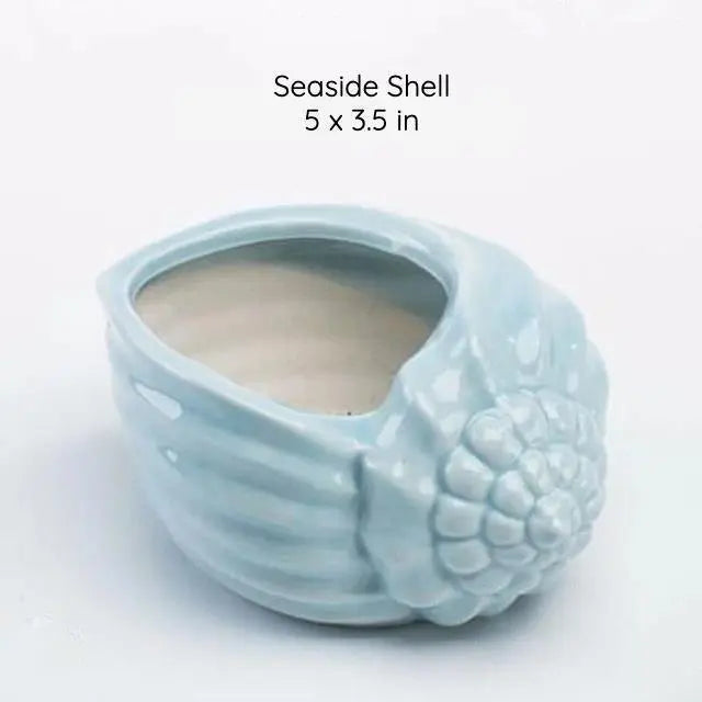 Under the Sea Succulent Planters Seaside Shell - Stem & Sill