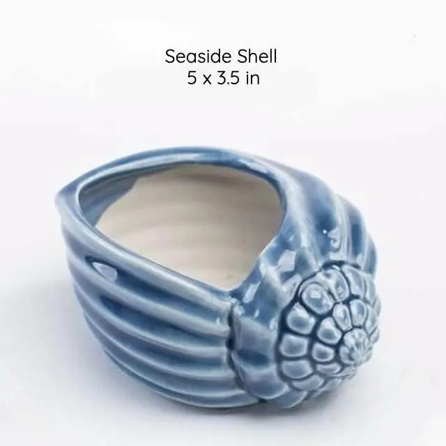 Under the Sea Succulent Planters Seaside Shell - Stem & Sill