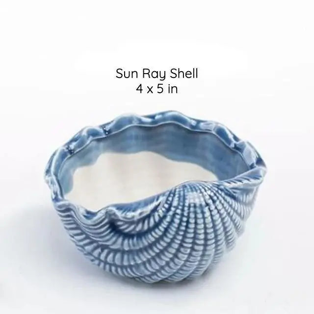 Under the Sea Succulent Planters Sun Ray Shell - Stem & Sill