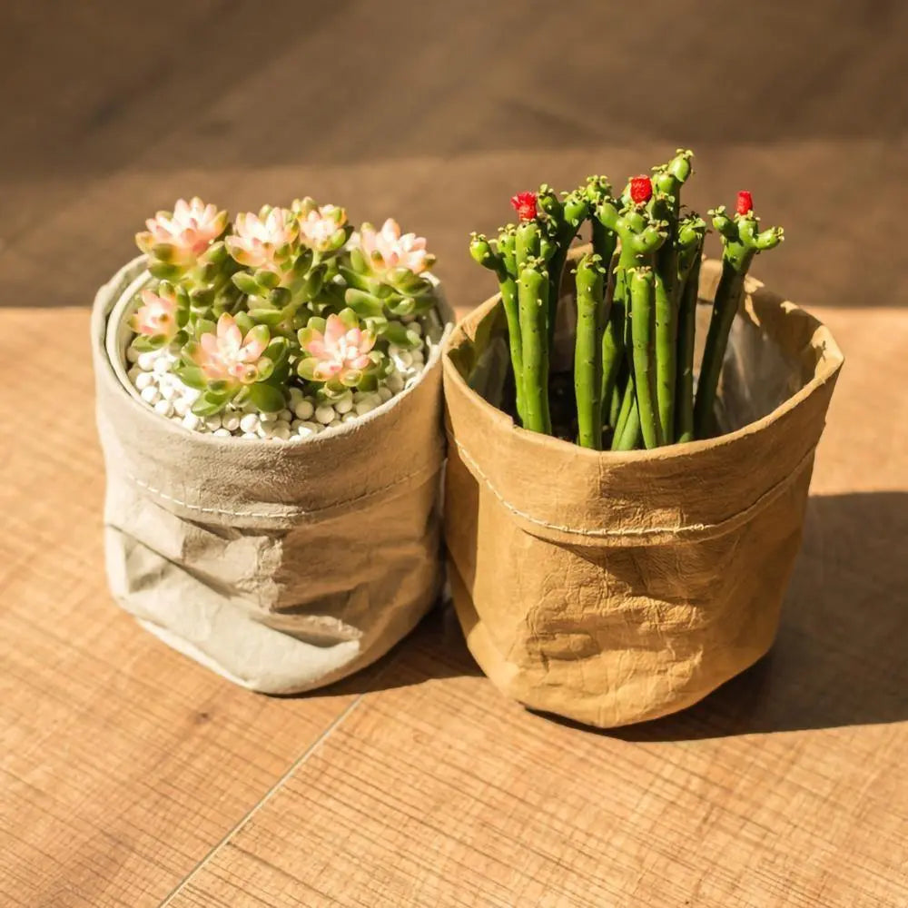 Waterproof Eco-Friendly Paper Planter Bag - Stem & Sill