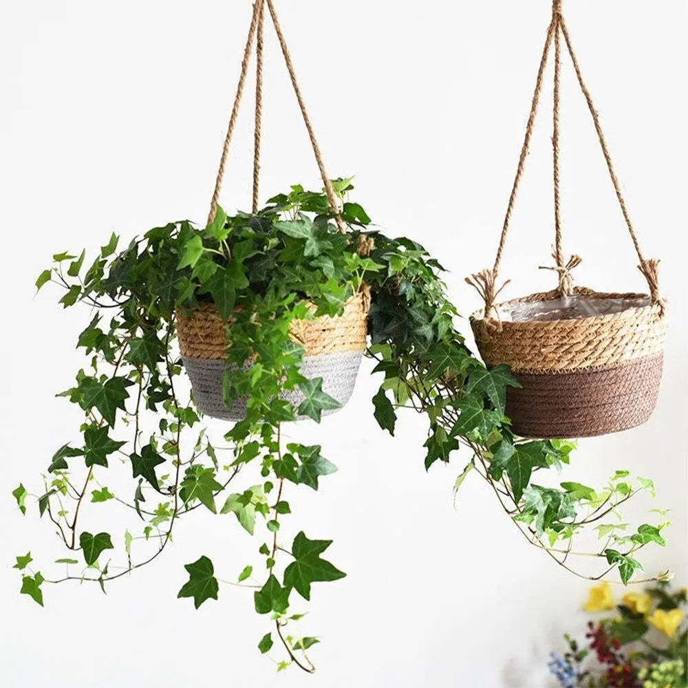 Woven Jute Rope Hanging Planter Basket - Stem & Sill